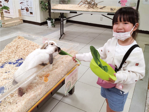 筑紫野店でウサギに葉っぱをあげる子ども