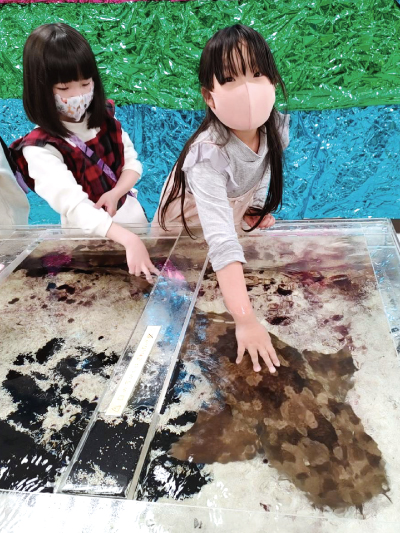 筑紫野店で水槽のいきものを観察する子どもたち